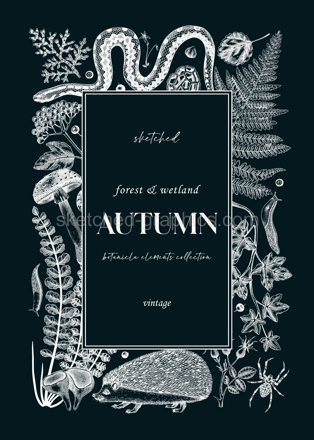 Forest frame on chalkboard. Hand-drawn autumn plants, fall leaves, mushrooms, ferns, woodland animals sketches. Decorative autumn background in vintage style for banner, print, greeting card, invite Illustration